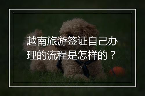 越南旅游签证自己办理的流程是怎样的？