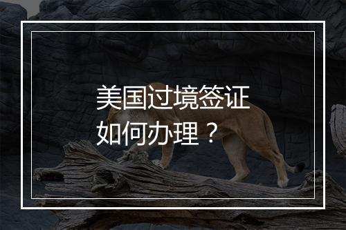 美国过境签证如何办理？