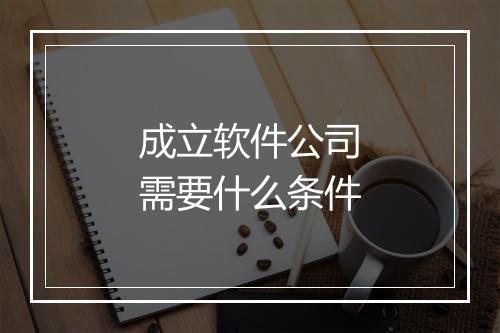 成立软件公司需要什么条件