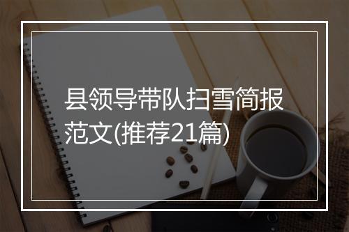 县领导带队扫雪简报范文(推荐21篇)