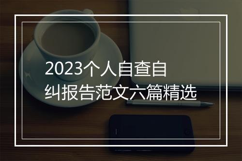 2023个人自查自纠报告范文六篇精选