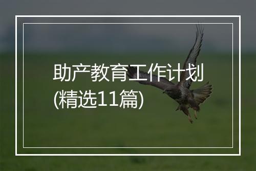 助产教育工作计划(精选11篇)