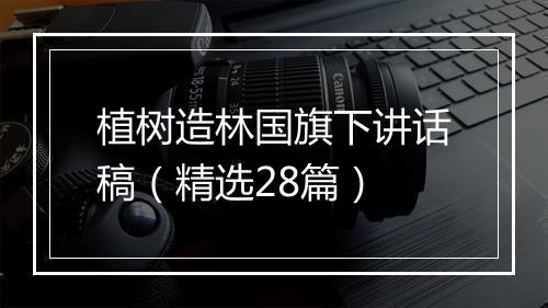 植树造林国旗下讲话稿（精选28篇）