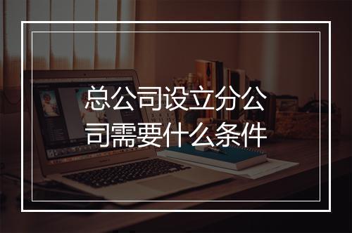 总公司设立分公司需要什么条件