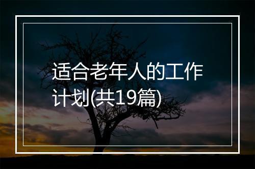 适合老年人的工作计划(共19篇)