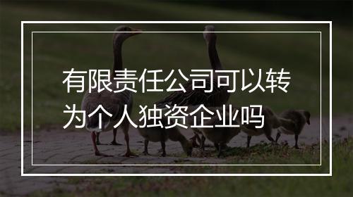 有限责任公司可以转为个人独资企业吗