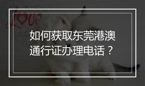 如何获取东莞港澳通行证办理电话？