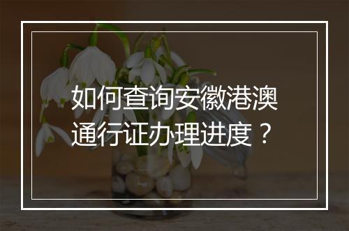 如何查询安徽港澳通行证办理进度？