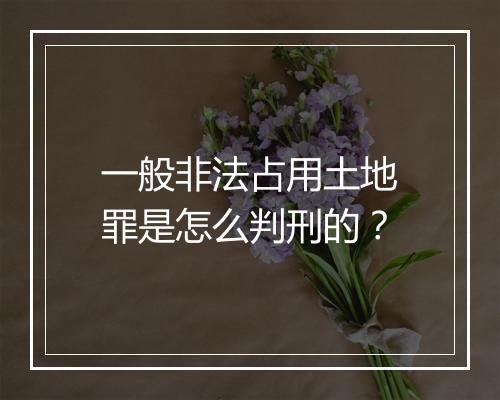 一般非法占用土地罪是怎么判刑的？