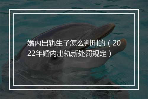 婚内出轨生子怎么判刑的（2022年婚内出轨新处罚规定）
