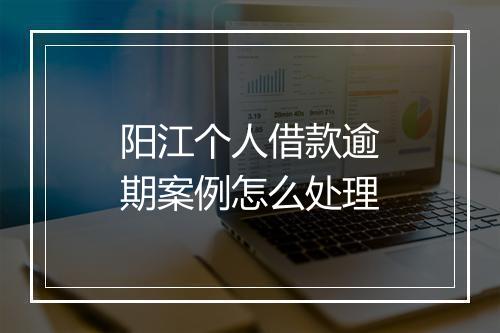 阳江个人借款逾期案例怎么处理