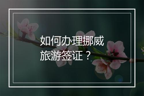 如何办理挪威旅游签证？