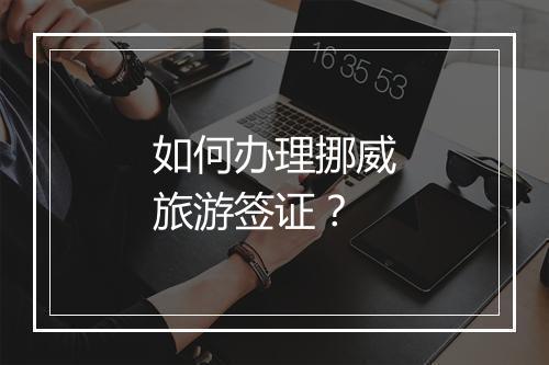 如何办理挪威旅游签证？