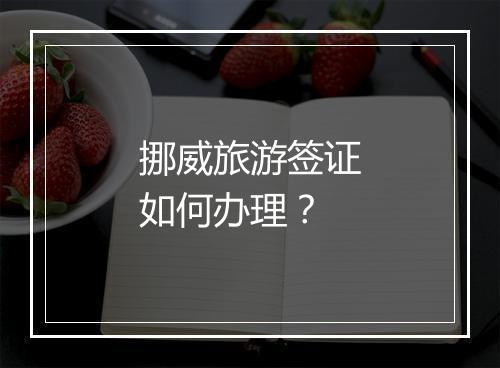 挪威旅游签证如何办理？