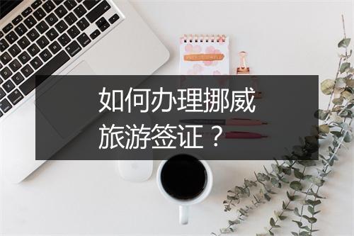 如何办理挪威旅游签证？