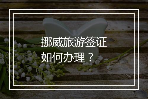 挪威旅游签证如何办理？