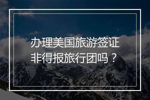 办理美国旅游签证非得报旅行团吗？
