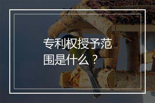 专利权授予范围是什么？