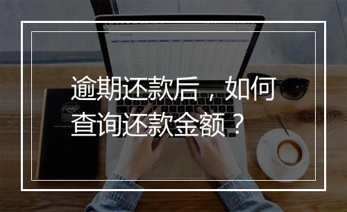 逾期还款后，如何查询还款金额？