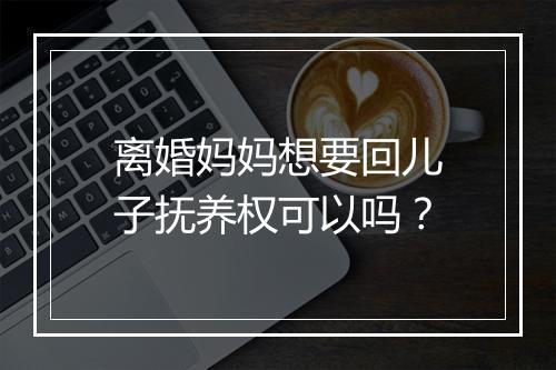 离婚妈妈想要回儿子抚养权可以吗？
