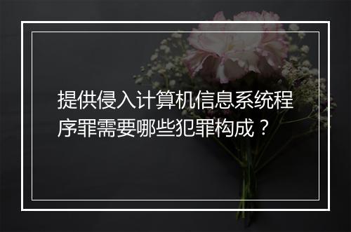 提供侵入计算机信息系统程序罪需要哪些犯罪构成？