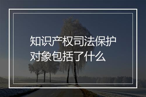 知识产权司法保护对象包括了什么