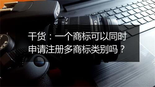 干货：一个商标可以同时申请注册多商标类别吗？