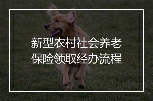 新型农村社会养老保险领取经办流程