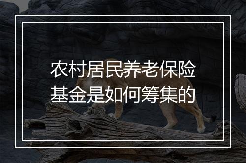 农村居民养老保险基金是如何筹集的