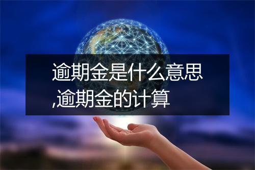 逾期金是什么意思,逾期金的计算