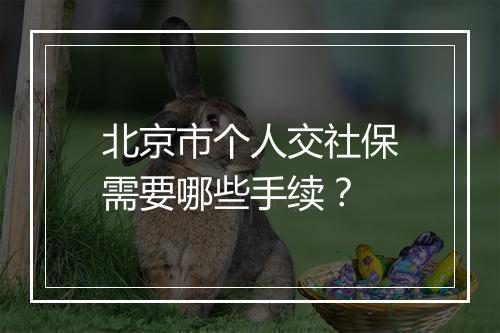 北京市个人交社保需要哪些手续？