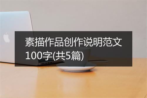 素描作品创作说明范文100字(共5篇)