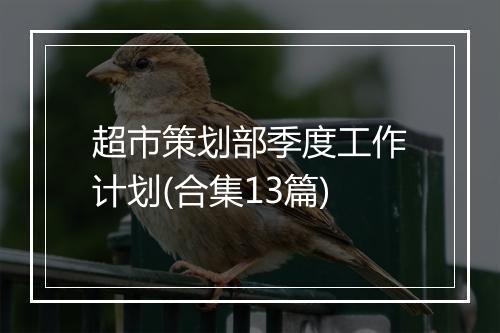超市策划部季度工作计划(合集13篇)