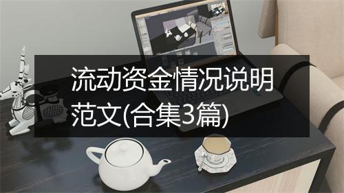 流动资金情况说明范文(合集3篇)