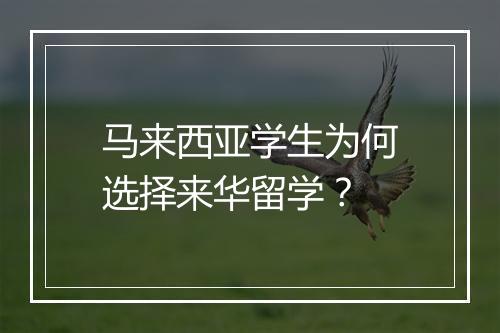 马来西亚学生为何选择来华留学？