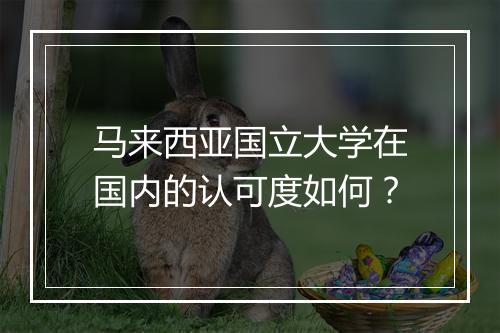 马来西亚国立大学在国内的认可度如何？