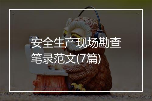 安全生产现场勘查笔录范文(7篇)