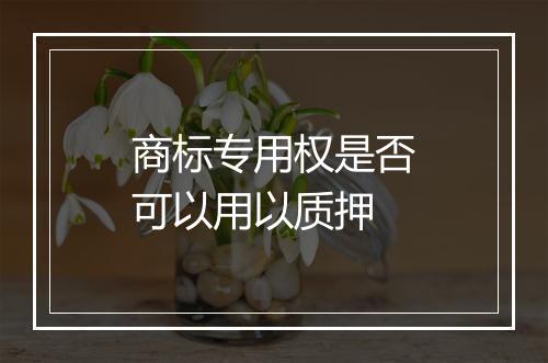 商标专用权是否可以用以质押