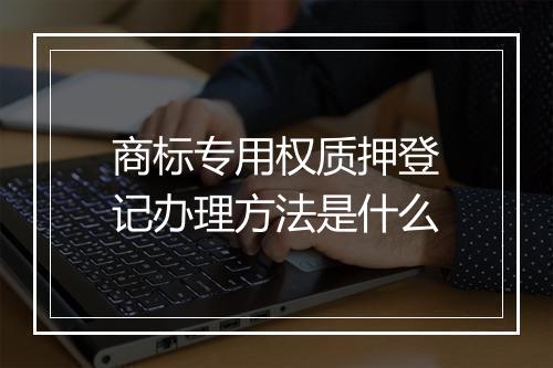 商标专用权质押登记办理方法是什么