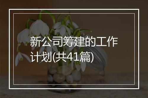 新公司筹建的工作计划(共41篇)