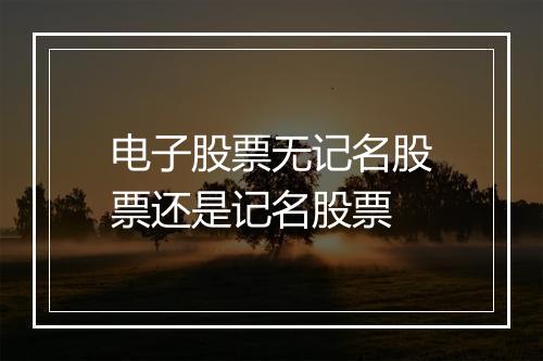 电子股票无记名股票还是记名股票