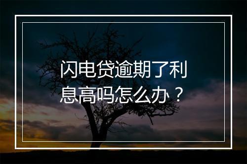 闪电贷逾期了利息高吗怎么办？
