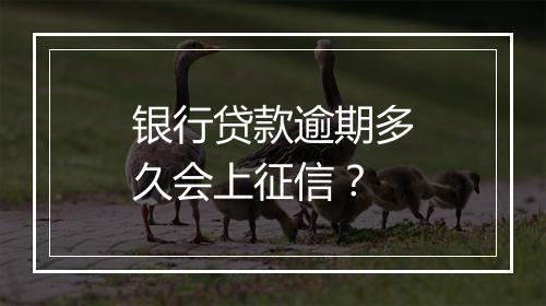 银行贷款逾期多久会上征信？