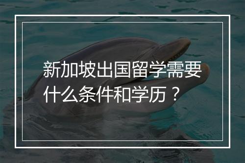 新加坡出国留学需要什么条件和学历？