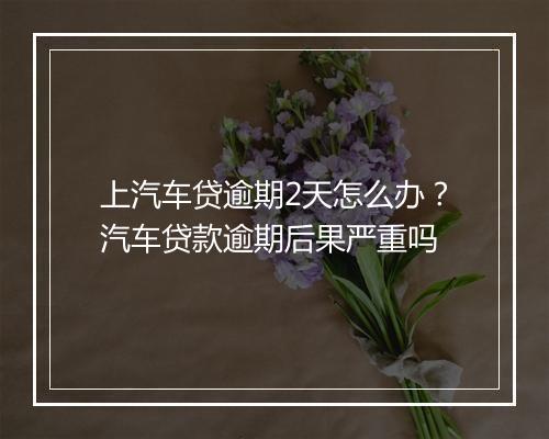 上汽车贷逾期2天怎么办？汽车贷款逾期后果严重吗