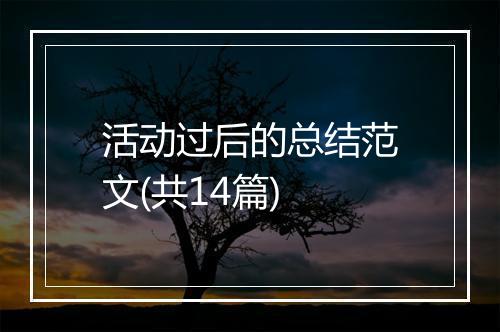 活动过后的总结范文(共14篇)