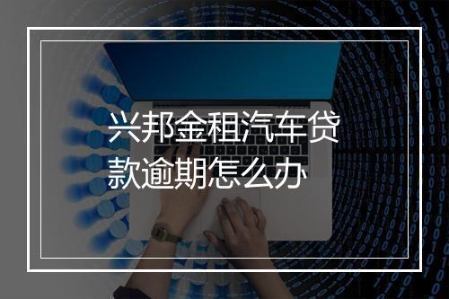 兴邦金租汽车贷款逾期怎么办
