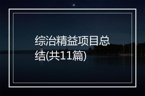 综治精益项目总结(共11篇)