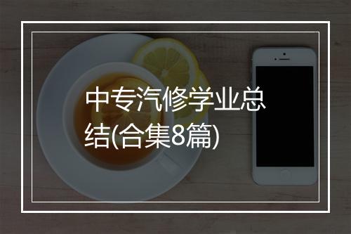 中专汽修学业总结(合集8篇)