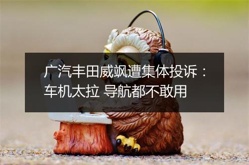 广汽丰田威飒遭集体投诉：车机太拉 导航都不敢用